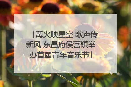 篝火映星空 歌声传新风 东昌府侯营镇举办首届青年音乐节